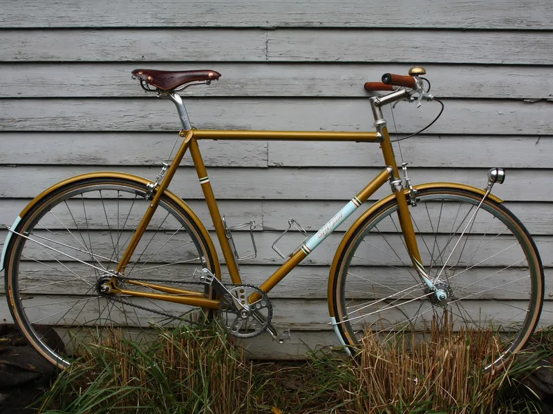 Mark K's townie, full profile