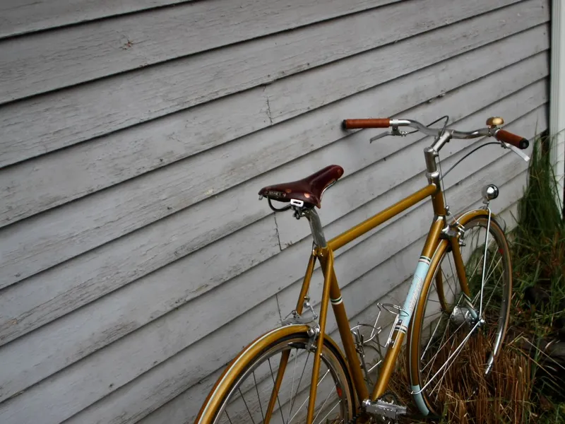 Mark K's townie, ready for a ride