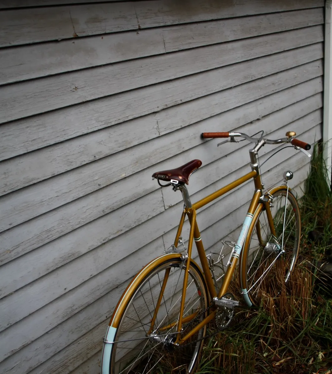 Mark K's townie, ready for a ride