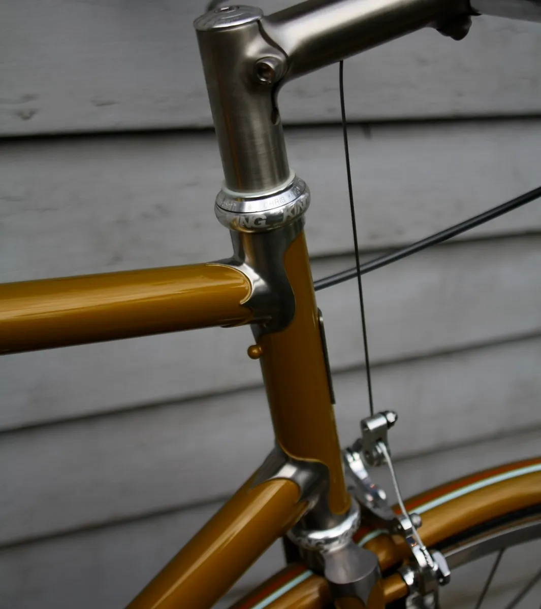 Nickel-plated stem detail