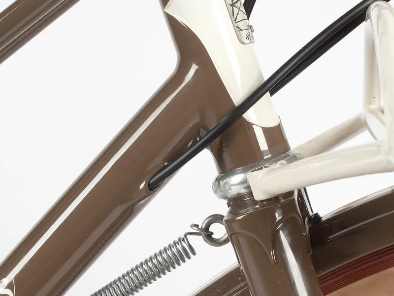 Ashley's mixte, in the shop