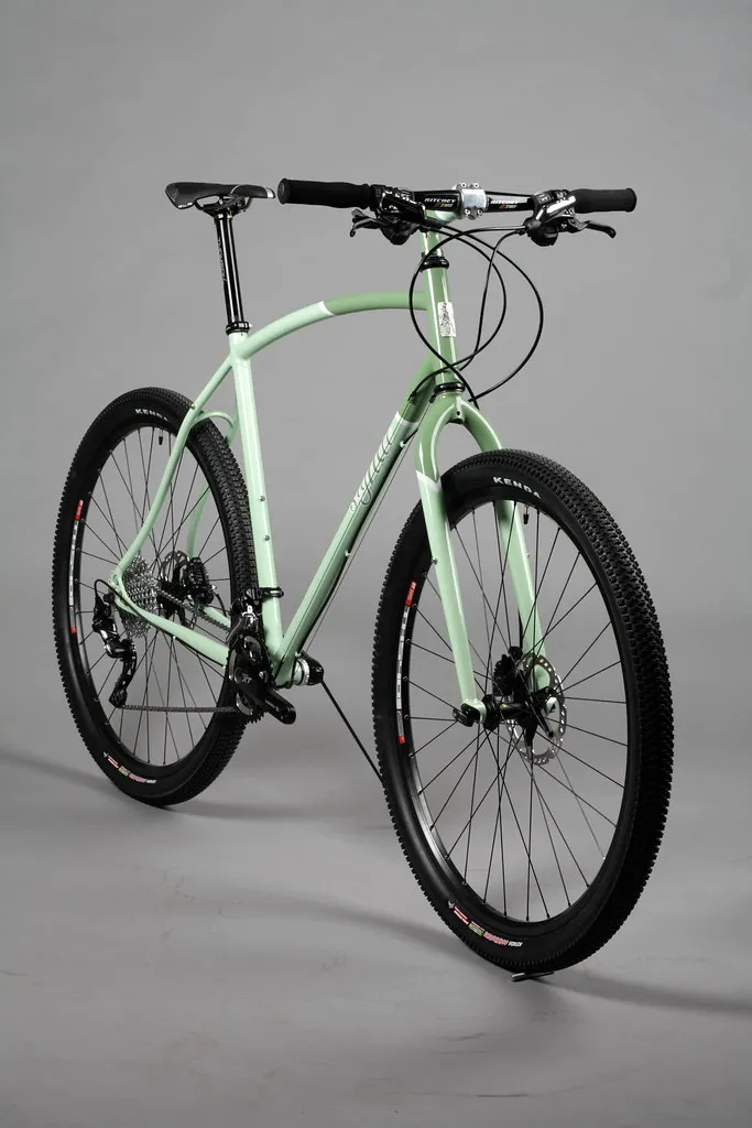 Brian's 29er, detail