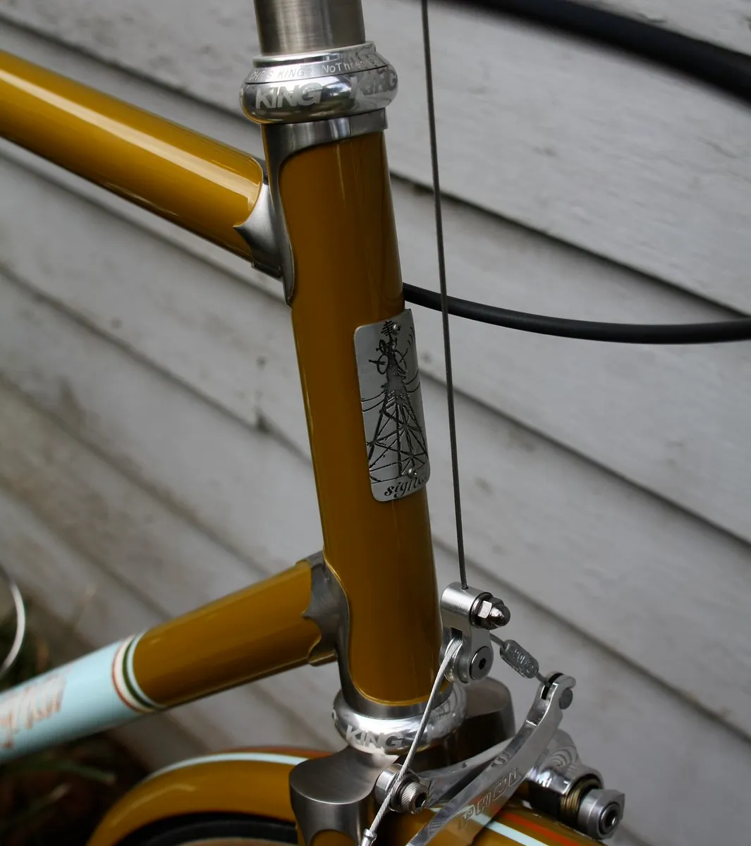 Brushed stainless lug detail