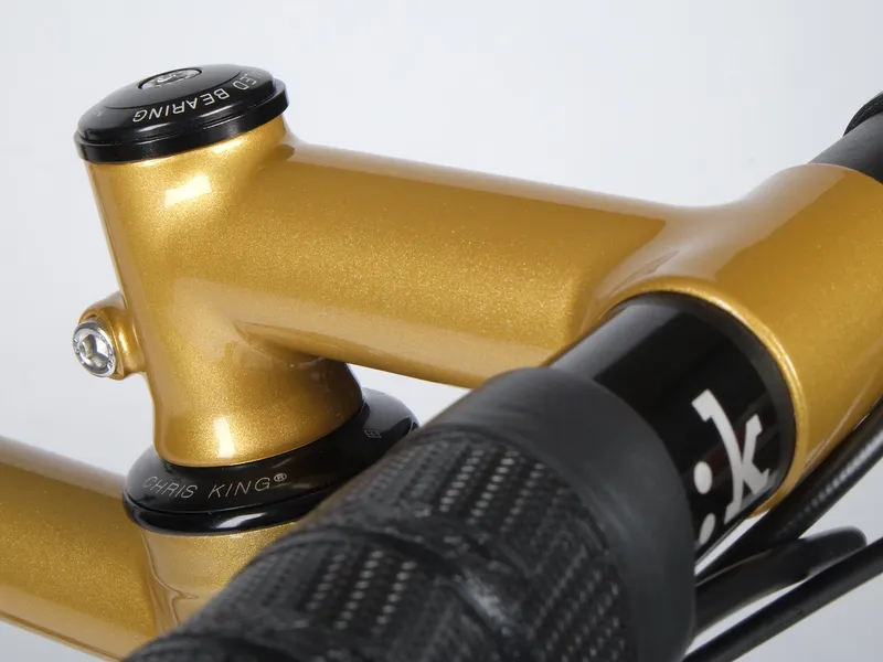 Dropout and disc brake detail