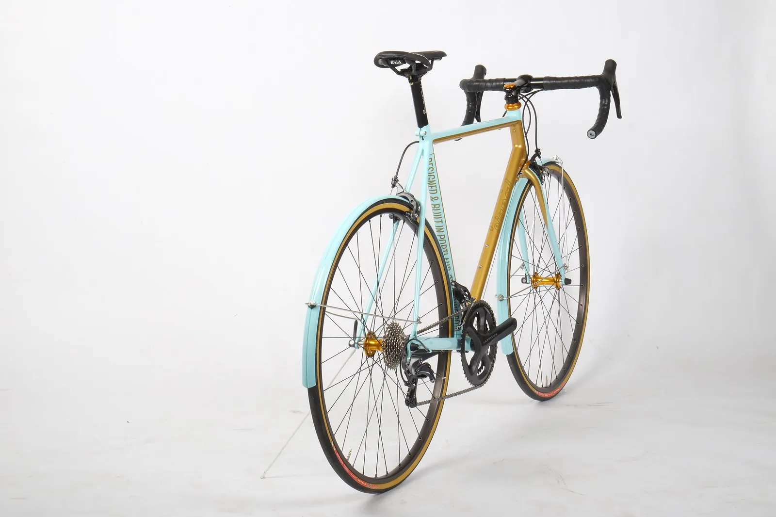 Studio shot, full profile