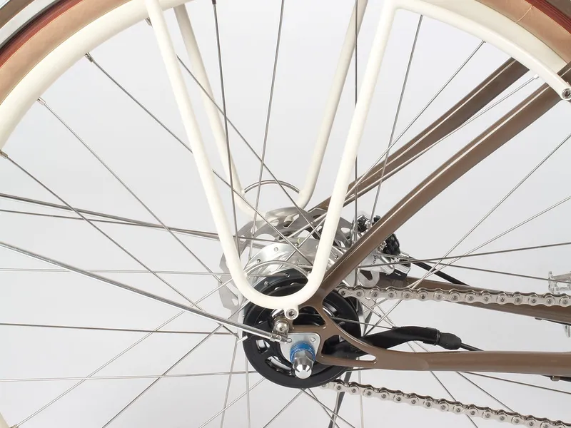 Rear rack and disc brake detail
