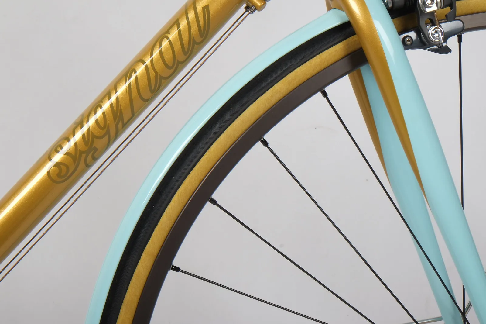 Studio shot, detail angle