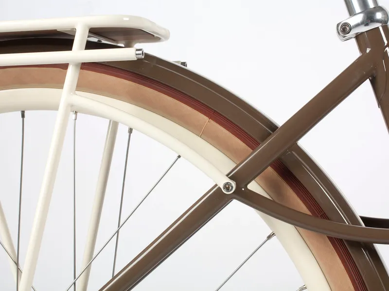 Front rack and fork crown detail