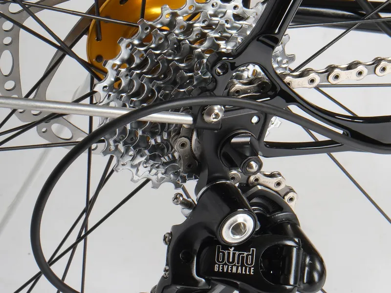 Rear disc brake and dropout detail