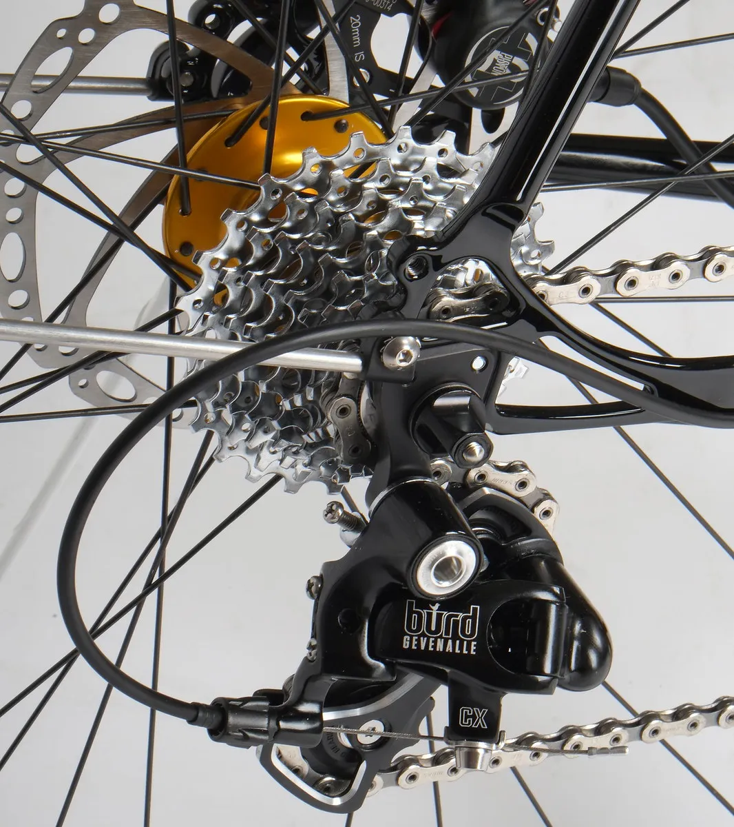Rear disc brake and dropout detail